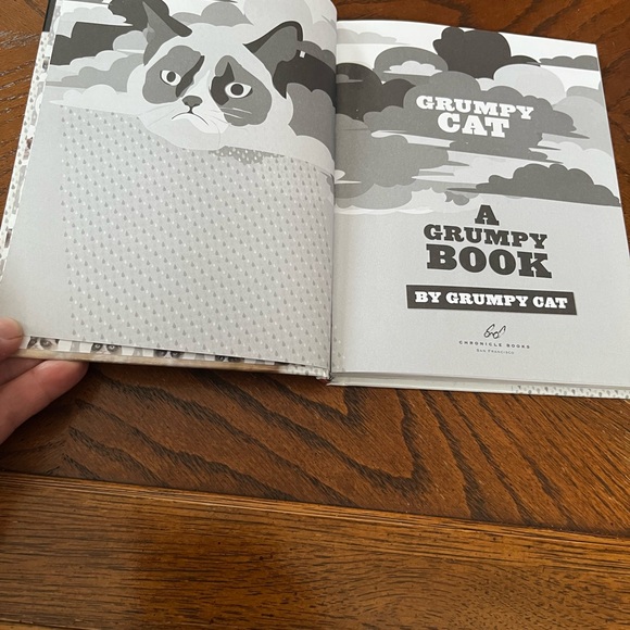Grumpy Cat Book | hardcover - Picture 4 of 10